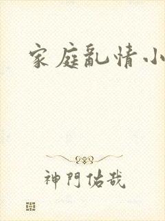 家庭乱情小说封面