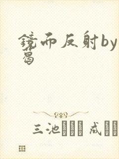 镜面反射by九葛