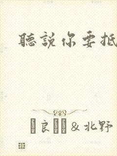 听说你要抵抗我
