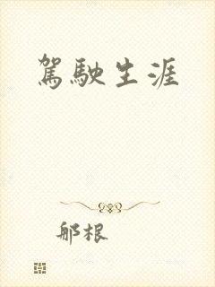 驾驶生涯