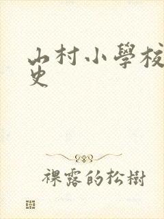山村小学校长艳史