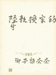 陆教授家的小月牙