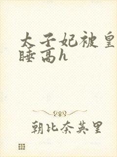 太子妃被皇上强睡高h