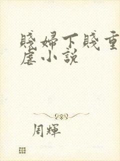 贱妇下贱重口玩虐小说封面