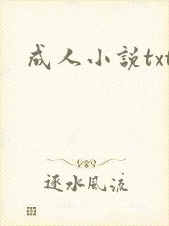 成人小说txt