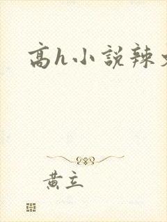 高h小说辣文