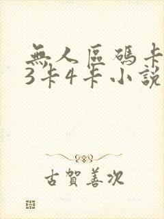 无人区码卡二卡3卡4卡小说封面