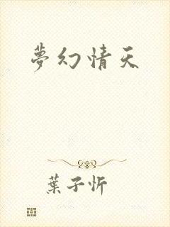 梦幻情天封面