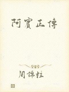 阿宾正传封面