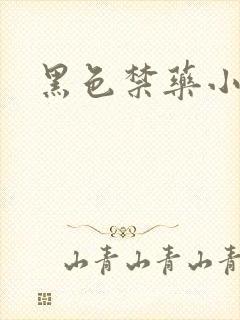 黑色禁药小说
