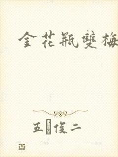 金花瓶双梅花3封面
