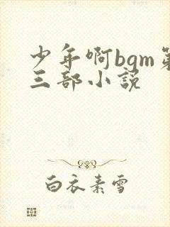 少年啊bgm第三部小说