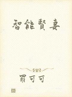 智能贤妻