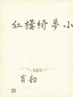 红楼绮梦小说