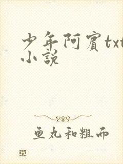 少年阿宾txt小说