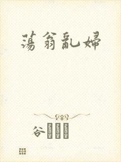 荡翁乱妇封面