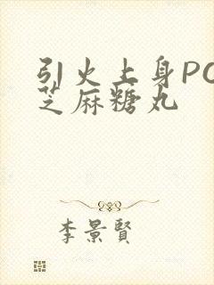 引火上身POP芝麻糖丸封面