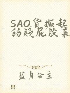 SAO货撅起你的贱屁股来