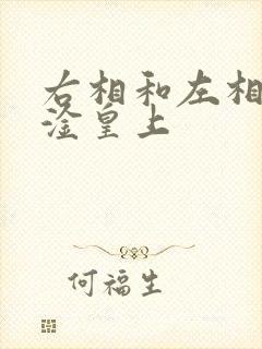 右相和左相一起淦皇上