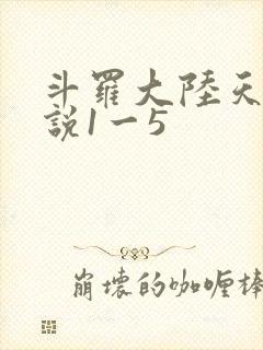 斗罗大陆天狂传说1一5