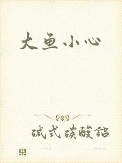 大鱼小心封面