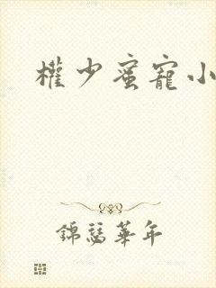 权少蜜宠小娇妻