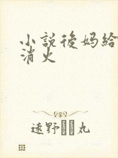 小说后妈给我消消火