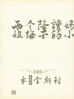 两个陪读妈妈赵姐梅子的小说