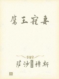 鹰王宠妻封面