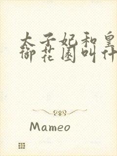 太子妃和皇帝在御花园叫什么小说封面