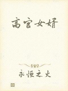 高官女婿封面