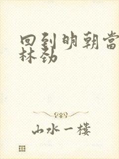 回到明朝当王爷林劲