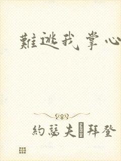 难逃我掌心