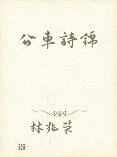 公车诗锦封面