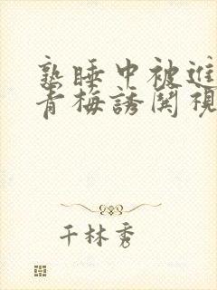 熟睡中被进了H青梅诱哄视频