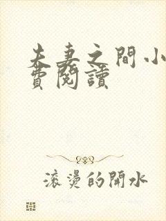 夫妻之间小说免费阅读
