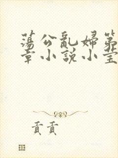 荡公乱妇第51章小说小莹封面