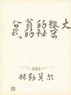 公翁的粗大放进我的秘密