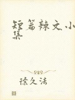 短篇辣文小说合集