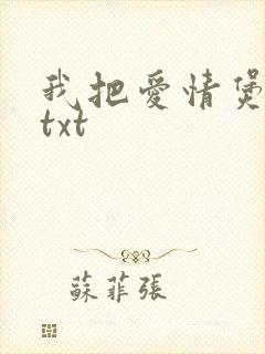 我把爱情煲成汤txt