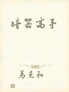 暗器高手封面