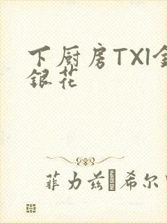 下厨房TXl金银花