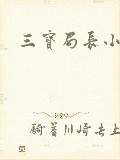 三宝局长小说