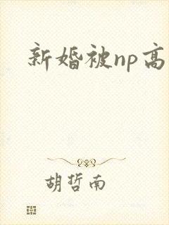 新婚被np高h