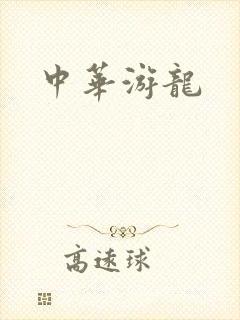 中华游龙封面
