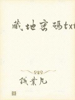 藏地密码txt封面