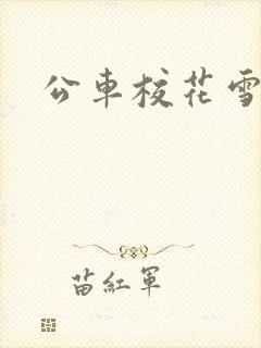 公车校花雪柔h封面