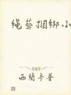 绳艺捆绑小说