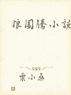 狼图腾小说封面