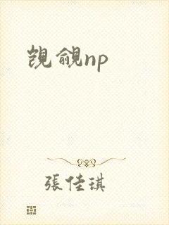 觊觎np